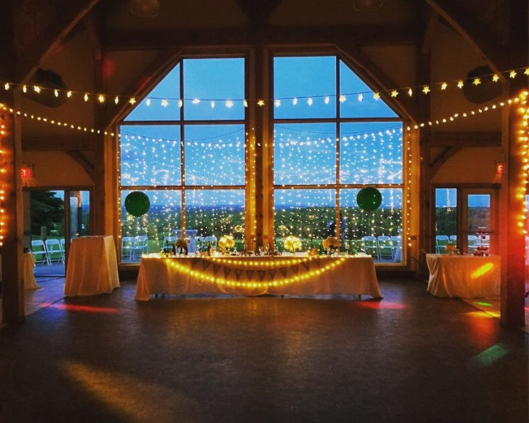 Christmas-themed LED Draping Lights