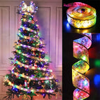 colorful / 10m 100leds